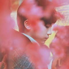 3.6.5 - EXO