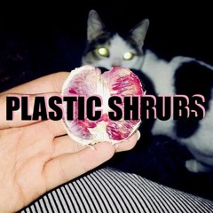 Plastic Shrubs
