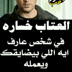 hady elnily