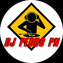 DJ PEDRO PN