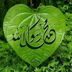 أبو عبدالله الأزهري