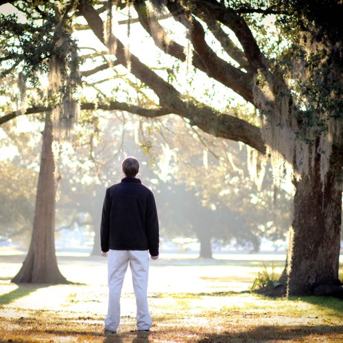 A Fistful Of Dollars Theme (Composed By Ennio Morricone - Arranged By Frank Sartain)