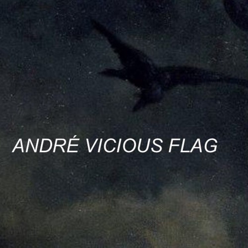 ANDRÉ VICIOUS FLAG’s avatar