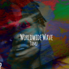 TAMU_Worldwide