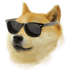 Doge
