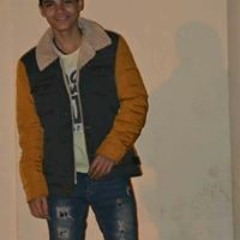 Yosef F Shaarwy
