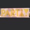 parti