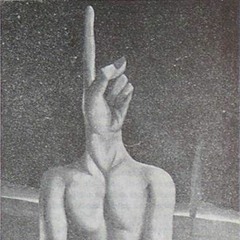 Alex Vidrascu