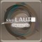 kleinLAUT-Records