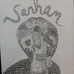 Tracey Sargent Venham