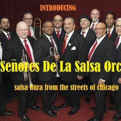 Los Senores De La Salsa Orchestra
