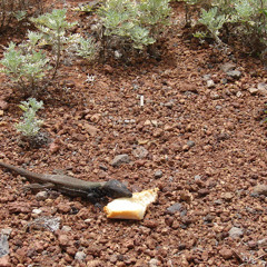 floren gonzález vázquez