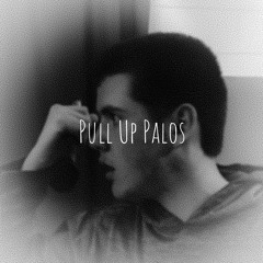 Pull Up Palos