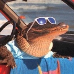 Radical Lizard Boi