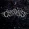 Corpsonous