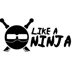 Like A Ninja Publishing