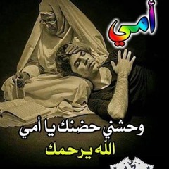 Mohi Behery