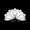 The Birdy Lyn Brand & Podcast