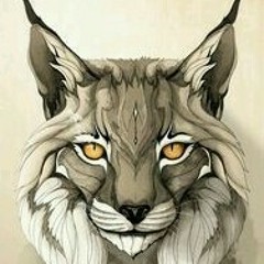 Sicarius