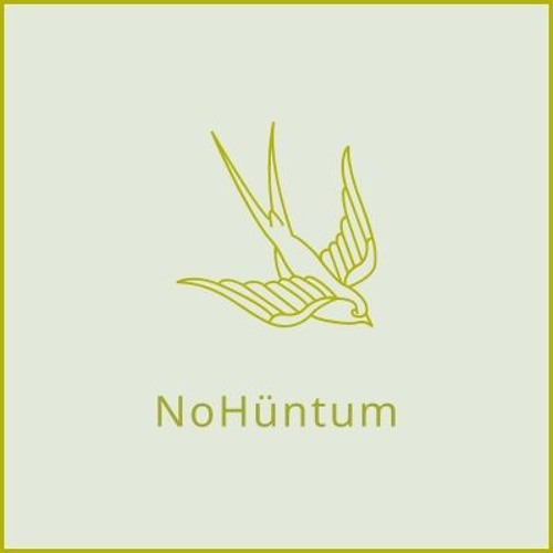 NoHüntum’s avatar