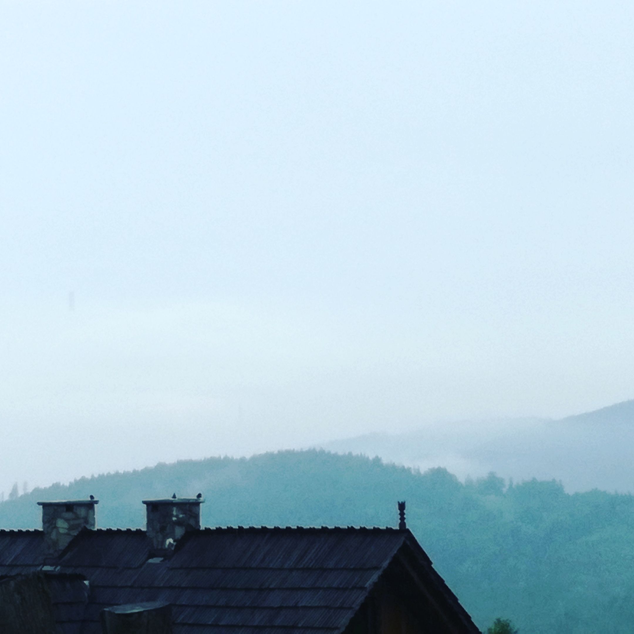 Goosła