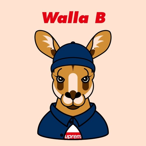 Walla_B’s avatar