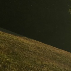 thetruvibe