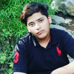 Muhammad Ali Paracha