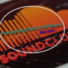 PromotingTheLifeOfMusic