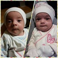 rima