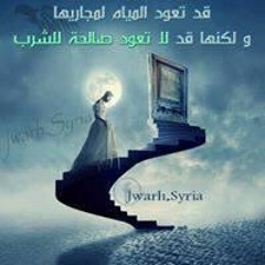 جمال المصري