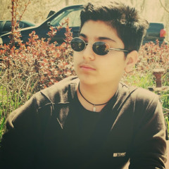 Sina Ghamsaryan