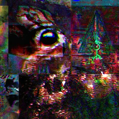 Spruce