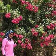 Asmaa Ahmed Farrag