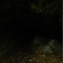 Litdogg - Phone Example