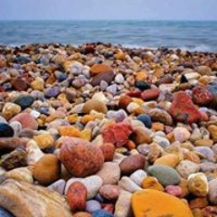 انوار البقبع