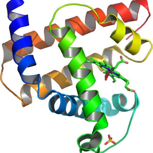 Bioinformatics’s avatar