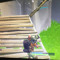 User 394253849