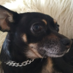 ИгроМания гоо