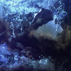 Λ V Ø