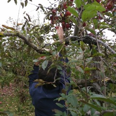 What Would I Do Without You