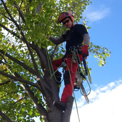 Big or Small we do em' :