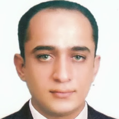 Hossam Moustafa