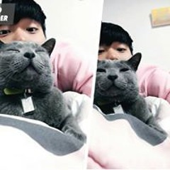 신우섬