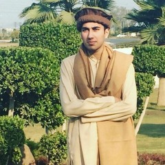 Muhammad Shanzar Zaman