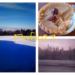 Floflo 27