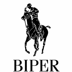 BIPER1993