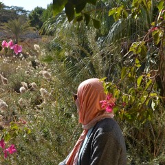 Amany AbdElaziz