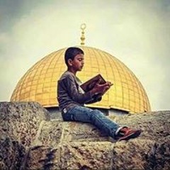 Gamal Esh