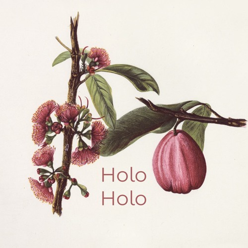 HoloHolo’s avatar